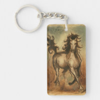 Caballo salvaje y colores cálidos