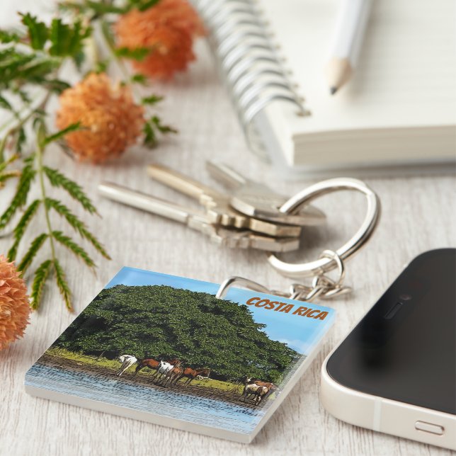 Llavero Caballos a orillas del agua - Costa Rica (Frente Derecha)