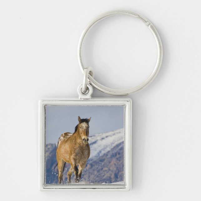 Llavero Caballos corriendo en nieve (Frente)