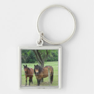 Llavero Caballos en el Pastizal