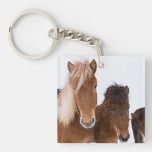 Llavero Caballos islandeses lindos juntos