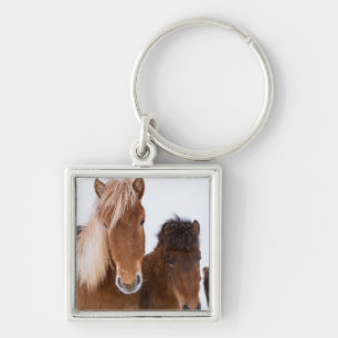 Llavero Caballos islandeses lindos juntos