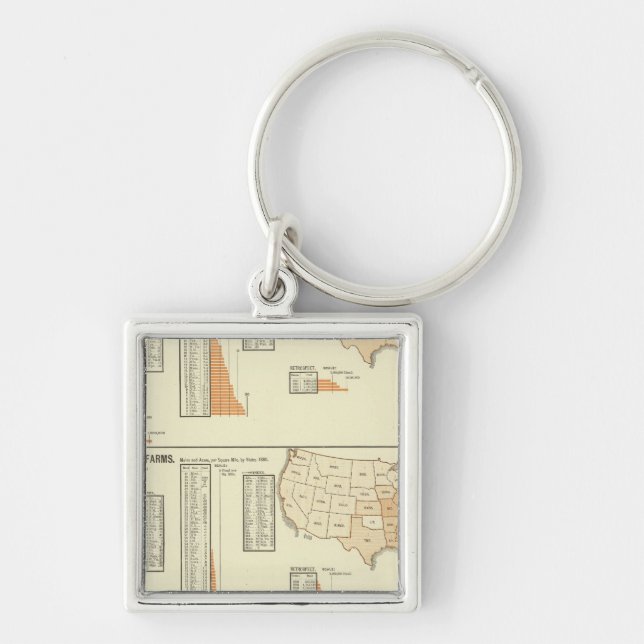 Llavero Caballos, mulas, asnos, ovejas (Frente)