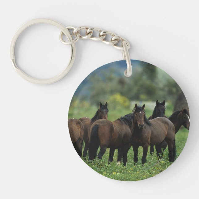 Llavero Caballos Mustang salvajes 3 (Frente)