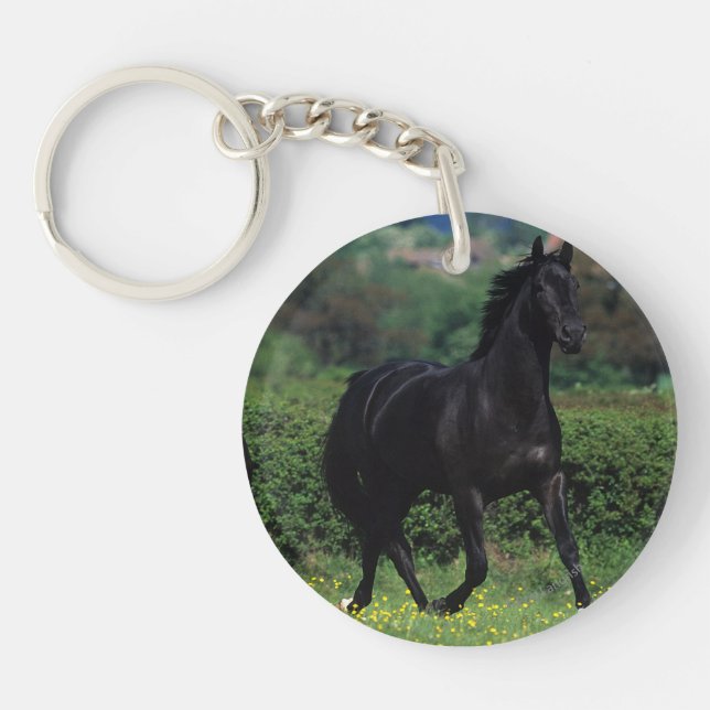 Llavero Caballos tosados en campo de flores (Frente)