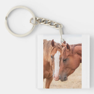 Llavero Caballos zumbando en un pasto