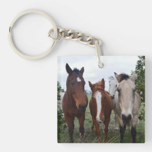 Llavero Cabello De Pelo, Cuatro Picas De Caballo,