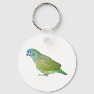 Llavero Cabeza azul Pionus Parrot