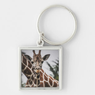Llavero Cabeza de jirafa Piel de piel de animal africano
