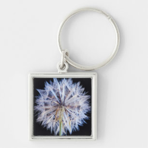 Llavero Cabeza de semilla de diente de león (Taraxacum Off