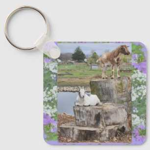 Llavero Cabras 2