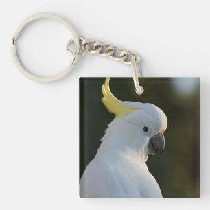 Llavero Cacatúa Blanca Exótica