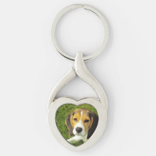 Llavero cachorro beagle