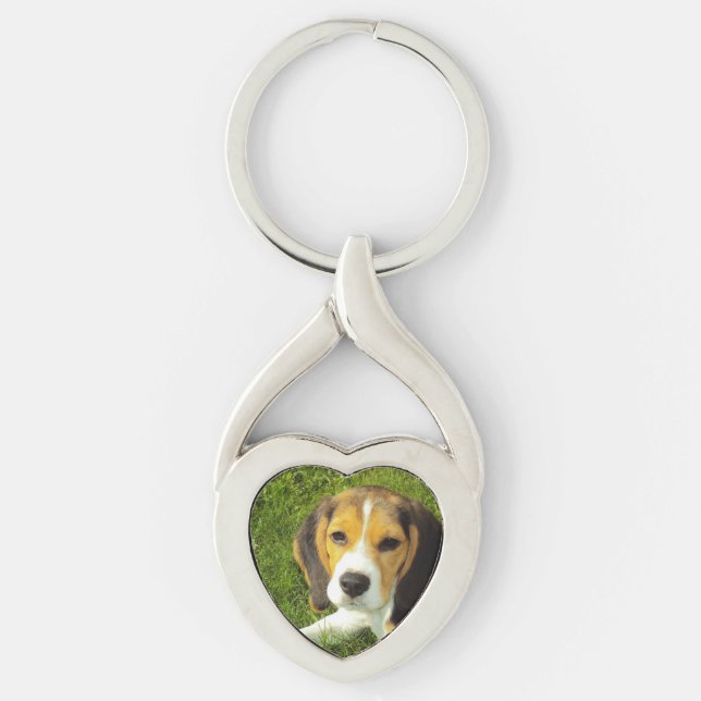 Llavero cachorro beagle (Anverso)