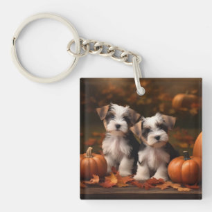 Llavero Cachorro Biewer Terrier Otoño Delicia Calabaza