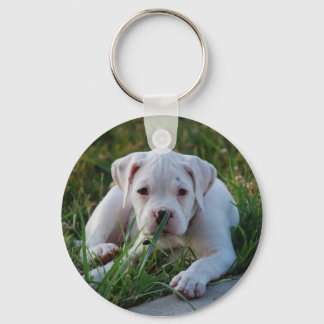 Llavero Cachorro blanco