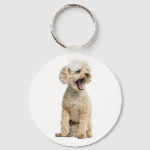 Llavero Cachorro Caniche Apricot