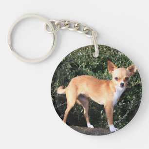 Llavero Cachorro chihuahua