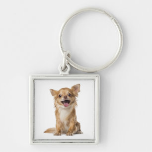 Llavero Cachorro Chihuahua Amor