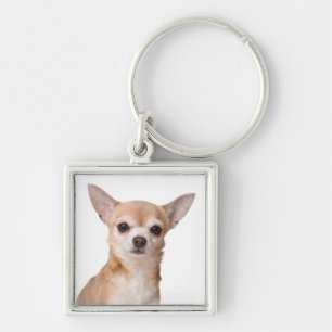 Llavero Cachorro Chihuahua Amor