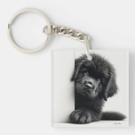 Llavero Cachorro curioso de Terranova negro asomándose