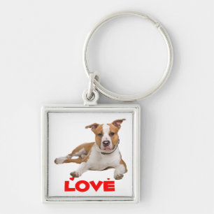 Llavero Cachorro de American Staffordshire Terrier