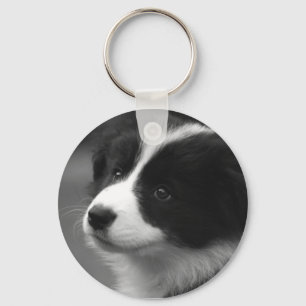 Llavero Cachorro de Border Collie