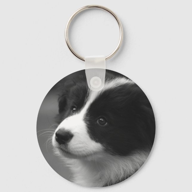 Llavero Cachorro de Border Collie (Anverso)