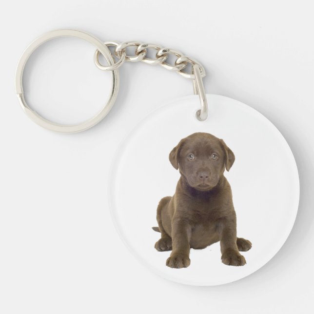 Llavero Cachorro de Chocolate Lab (Frente)
