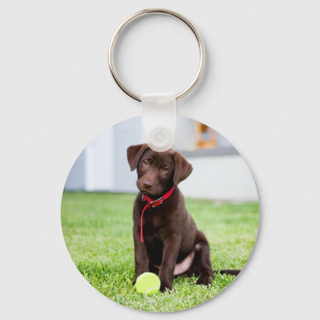 Llavero Cachorro De Chocolate Labrador Con Pelota De Tenis (Anverso)
