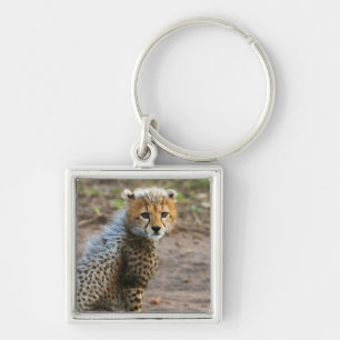 Llavero Cachorro de Guepardo Acinonyx Jubatus)