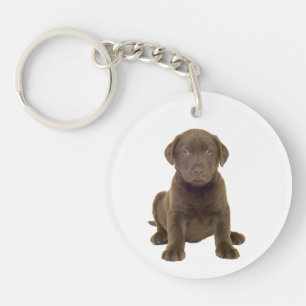 Llavero Cachorro de Labrador Chocolate