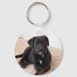 Llavero Cachorro de Labrador Negro