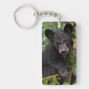 Llavero Cachorro de Oso Negro Jugando en Árboles