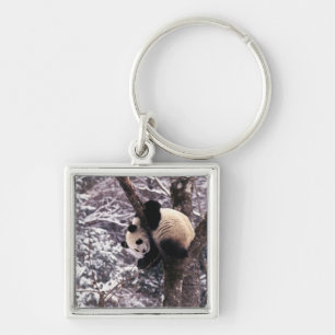 Llavero Cachorro de panda jugando en un árbol cubierto de 