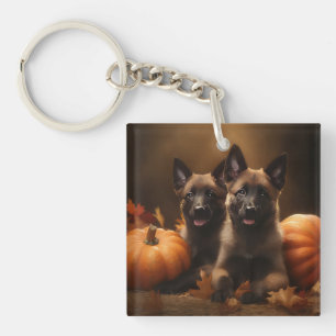 Llavero Cachorro de Pastor Belga Delicia de Otoño Calabaza