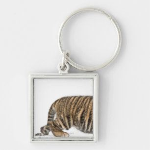 Llavero Cachorro de tigre de Sumatran 2