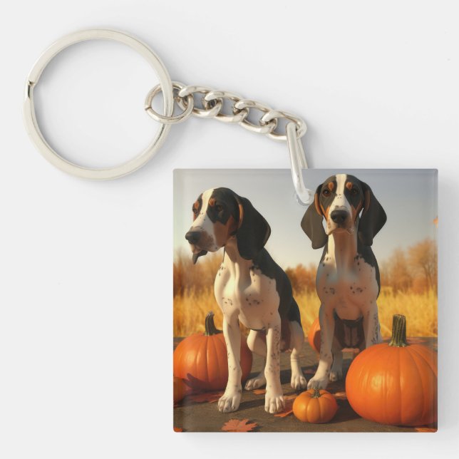 Llavero Cachorro de Treeing Walker Coonhound Calabaza de O (Frente)