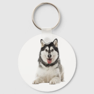 Llavero Cachorro gris y negro de raza Alaskan Malamute