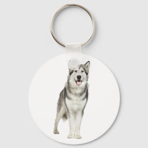 Llavero Cachorro gris y negro de raza Alaskan Malamute