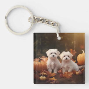 Llavero Cachorro Maltés Delicia de Otoño Calabaza