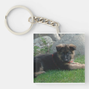 Llavero cachorro pastor alemán colocando 2,png