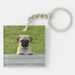 Llavero Cachorro Pug