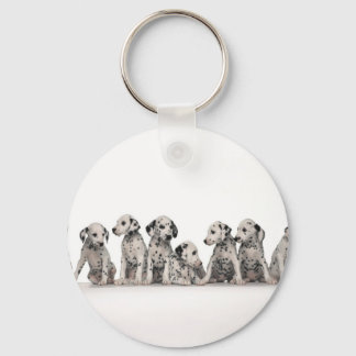 Llavero cachorros adorables cachorros cachorros cachorros