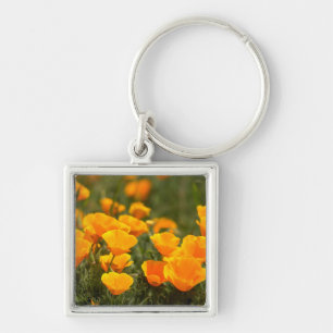 Llavero Cachorros de California, Parque Estatal Montana de