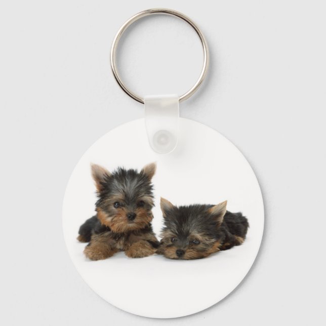 Llavero Cachorros de Cute Yorkshire Terrier (Anverso)
