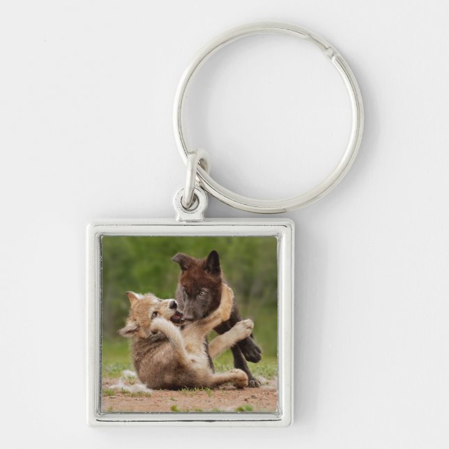 Llavero Cachorros de Lobo Gris Luchando (Frente)