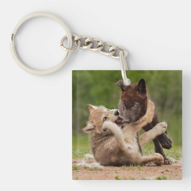 Llavero Cachorros de lobo gris luchando (Frente)