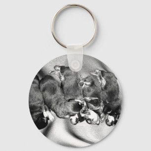 Llavero cachorros de rottweiler dormilón