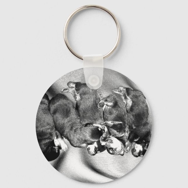 Llavero cachorros de rottweiler dormilón (Anverso)